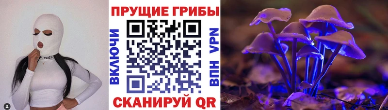Псилоцибиновые грибы Magic Shrooms  Озёрск 